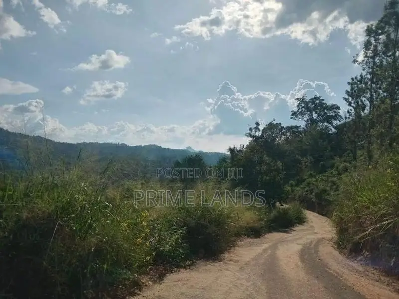 Land for Sale Galaha