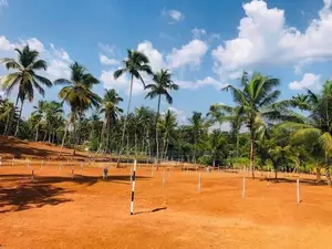 Paddy Facing Land Sale Project in Pasyala Y 70