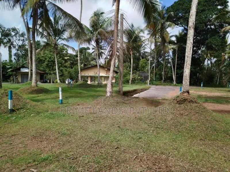 අතුරුගිරිය බොරලුගොඩ පාරෙන් බිම් කොටසක් විකිණීමට
