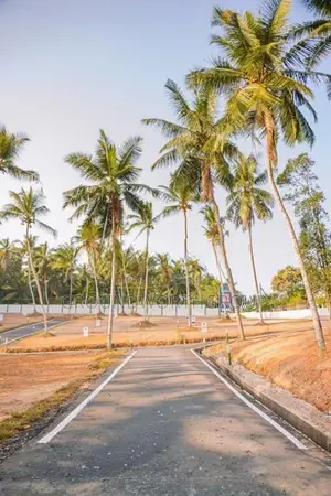 Valuable Land for Sale in Vidyala Junction, Thalawathugoda S6