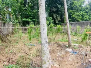 Valuable 20 Perches Land for Sale in Horana.