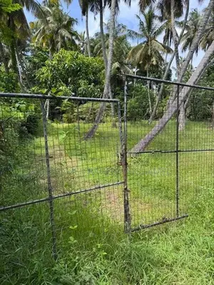 Square Land for Sale – 200m from Colombo–Chilaw Main Road