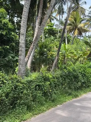 Square Land for Sale – 200m from Colombo–Chilaw Main Road