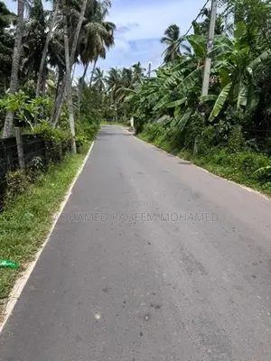 Square Land for Sale – 200m from Colombo–Chilaw Main Road