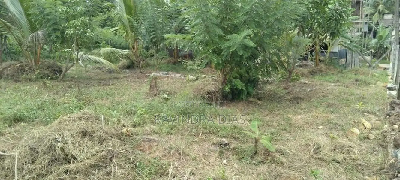 Land for sale in Homagama Magammana Galgodelle