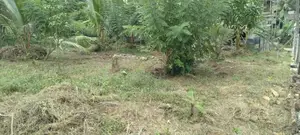 Land for sale in Homagama Magammana Galgodelle