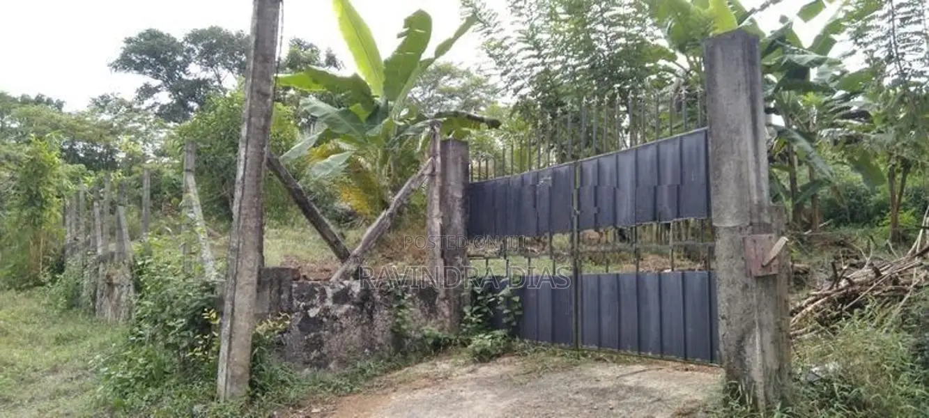 Land for sale in Homagama Magammana Galgodelle