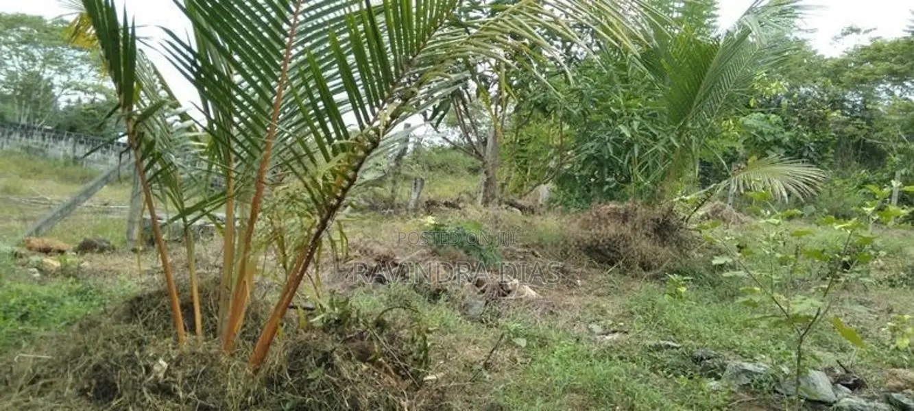 Land for sale in Homagama Magammana Galgodelle
