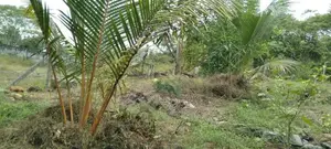 Land for sale in Homagama Magammana Galgodelle