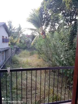 Commercial Property with House for Rent in Naiwala