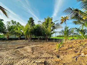 Land for Sale in Tissamaharama Debarawewa – Hambantota