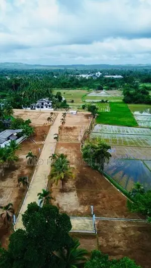 පැල්ලන්දෙනිය සුන්දර වෙල්යායකට මුහුණලා බිම් කොටස්