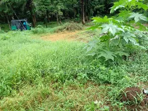Land for Sale – Dompe (Kahatagahawatta)