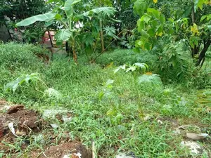 Land for Sale – Dompe (Kahatagahawatta)