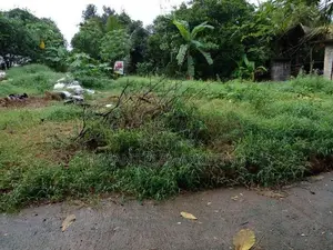 Land for Sale – Dompe (Kahatagahawatta)