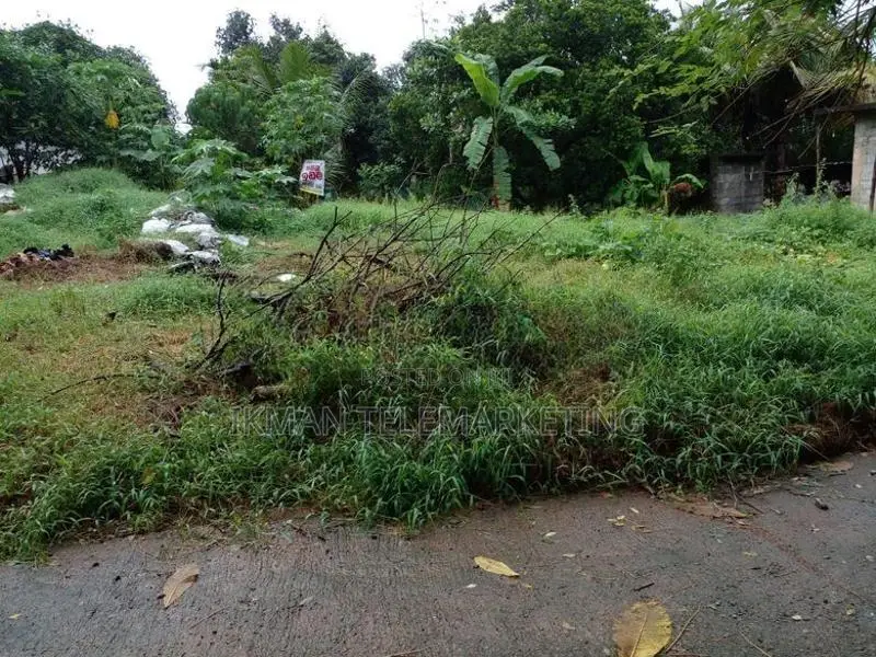 Land for Sale – Dompe (Kahatagahawatta)