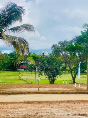 පැල්ලන්දෙනිය සුන්දර වෙල්යායකට මුහුණලා බිම් කොටස්