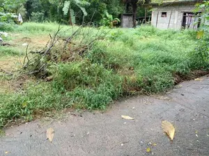 Land for Sale – Dompe (Kahatagahawatta)