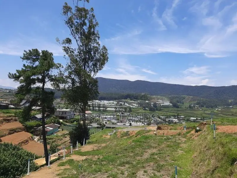 Valuable Land for Sale Nuwara Eliya Meepilimanna