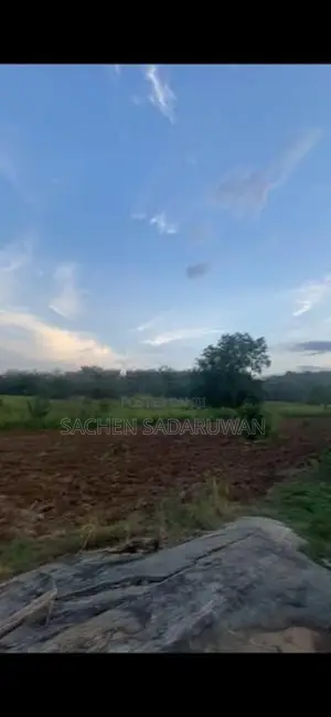 160 Perch Land for Sale Monaragala