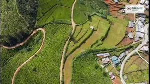 View Point Land for Sale Nuwara Eliya