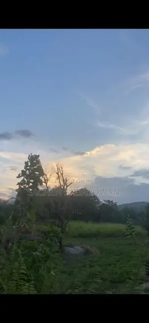 160 Perch Land for Sale Monaragala