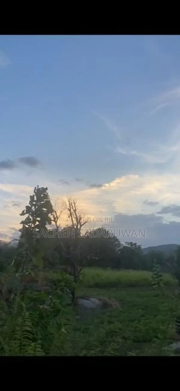 160 Perch Land for Sale Monaragala