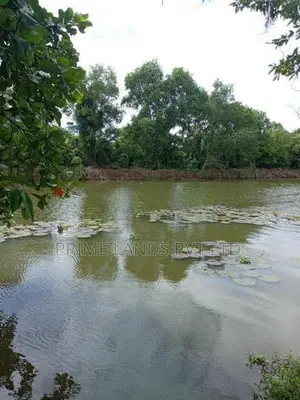 Lake Facing Land for Sale in Nawala