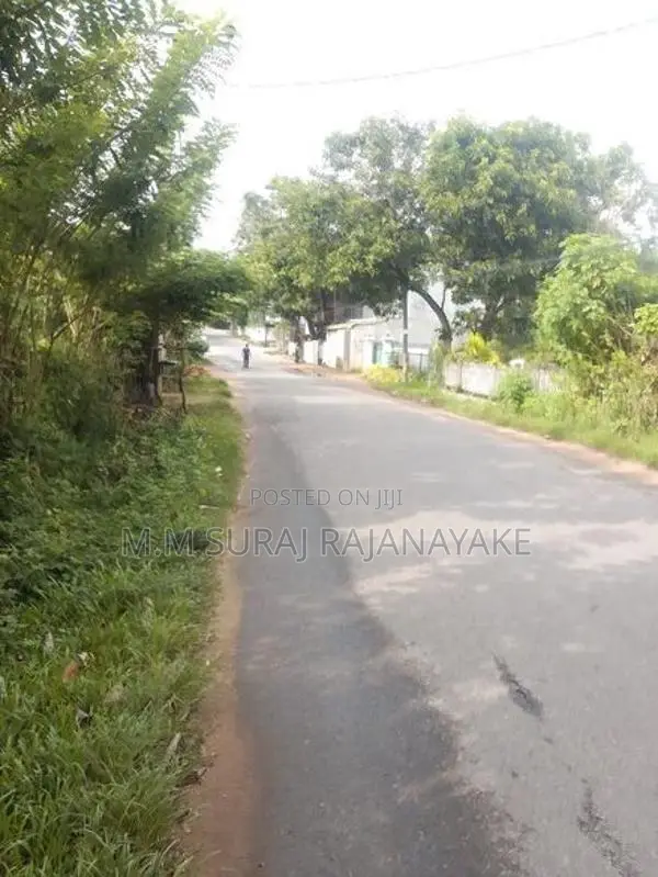කටුනායක - ආඩිඅම්බලමින් ඉඩමක් විකිණීමට ඇත