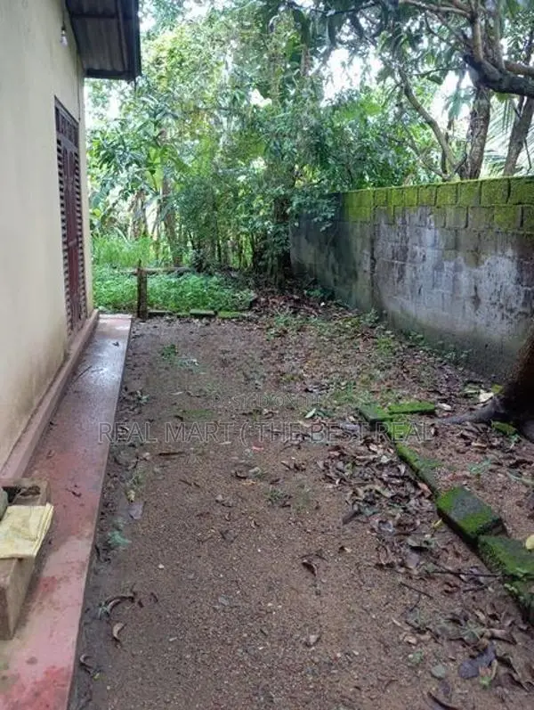 PANNIPITIYA : 2-BR (6P) SINGLE-STORY HOUSE FOR SALE