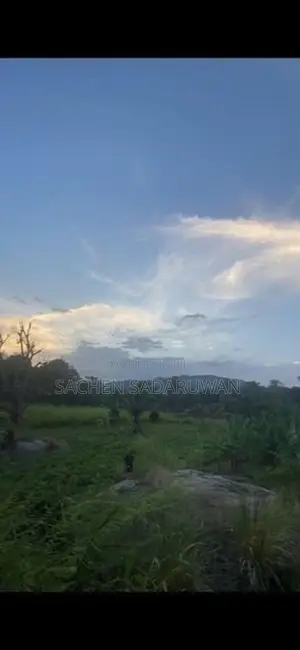 160 Perch Land for Sale Monaragala