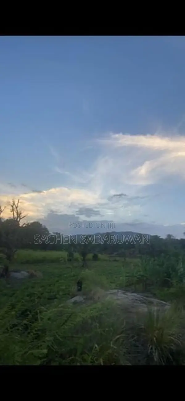 160 Perch Land for Sale Monaragala