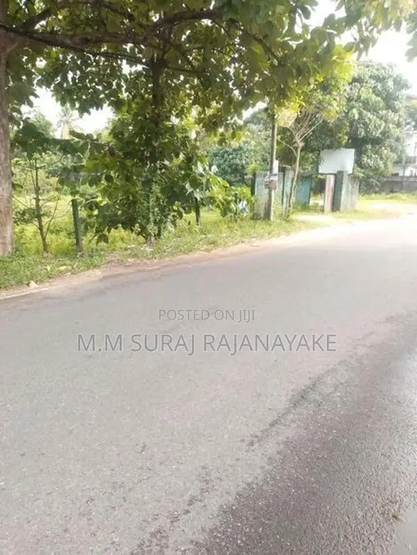 කටුනායක - ආඩිඅම්බලමින් ඉඩමක් විකිණීමට ඇත