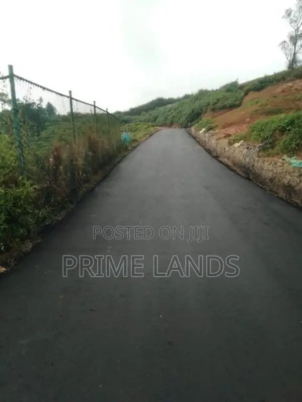 Valuable Land for Sale Nuwara Eliya Meepilimanna
