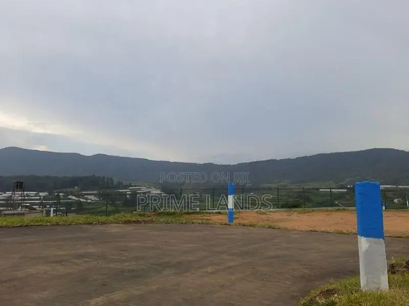 Valuable Land for Sale Nuwara Eliya Meepilimanna
