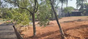 Pannipitiya , Land for Sale, Very Close to Bus Road