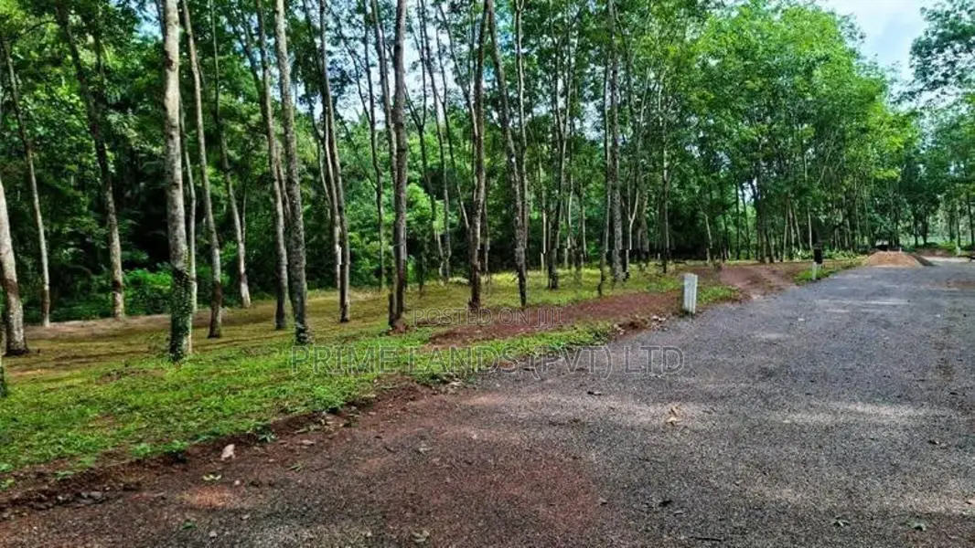 දිවුලපිටියට ළගින් 5 පාරෙන් බිම් කොටස්