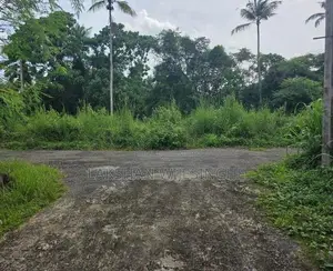 Land for sale 6.375P Gampaha - Yakkala