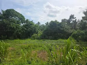 Land for sale 6.375P Gampaha - Yakkala