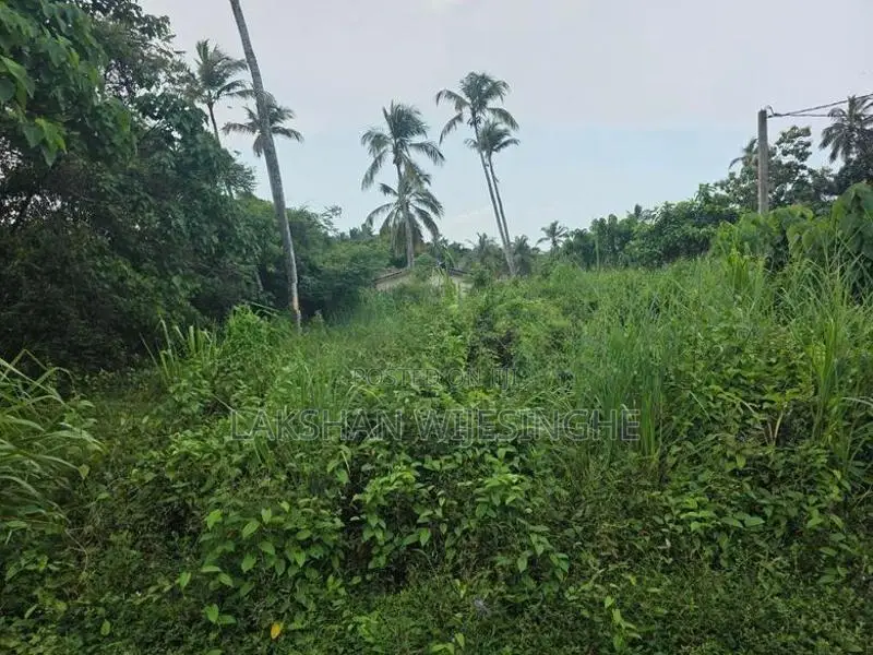 Land for sale 6.375P Gampaha - Yakkala