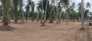 වේයන්ගොඩ නයිවල සුපිරි බිම්කොටස්