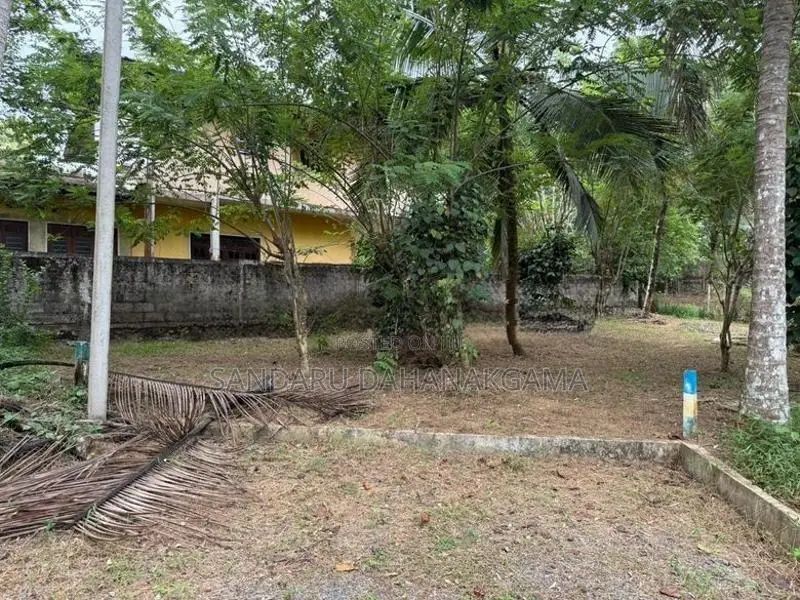 Land for Sale in Beruketiya