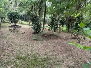 Land for Sale in Beruketiya