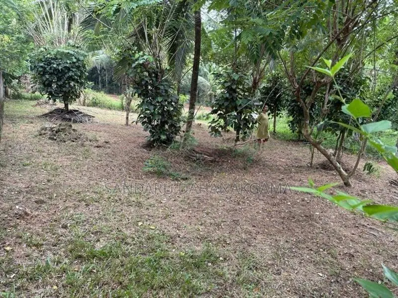 Land for Sale in Beruketiya