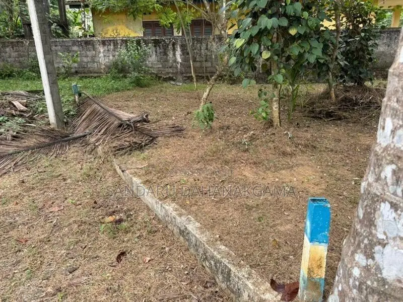 Land for Sale in Beruketiya