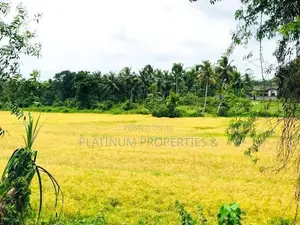 13.1 Perch Single Story House For Sale In Homagama Halbarawa