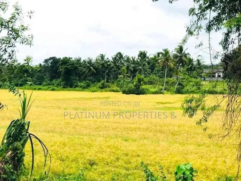 13.1 Perch Single Story House For Sale In Homagama Halbarawa