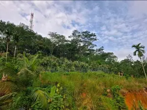 House With Land For Sale In Rathnapura