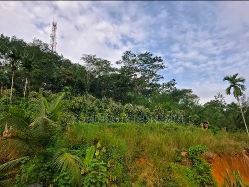 House With Land For Sale In Rathnapura