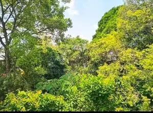 Super Spacious Luxury 2-Story House For Sale In Thalawathugoda Hokanda